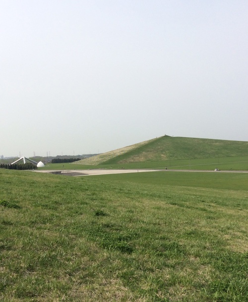 e0052716_914413.jpg