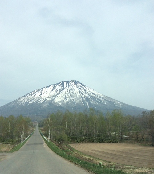 e0052716_9504045.jpg