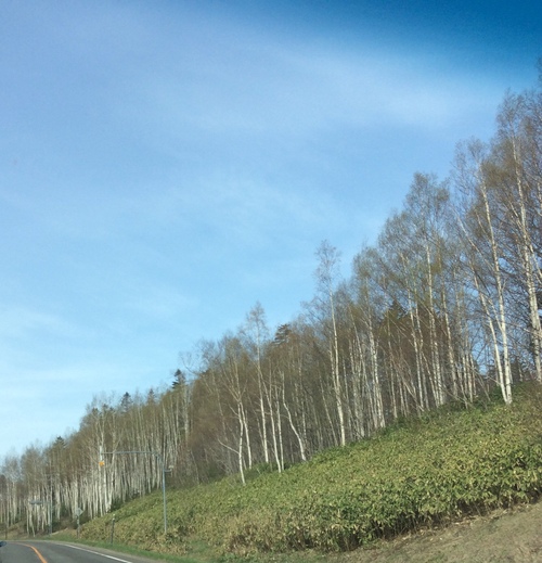 e0052716_951204.jpg