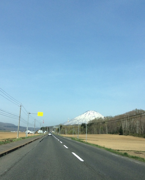 e0052716_951596.jpg