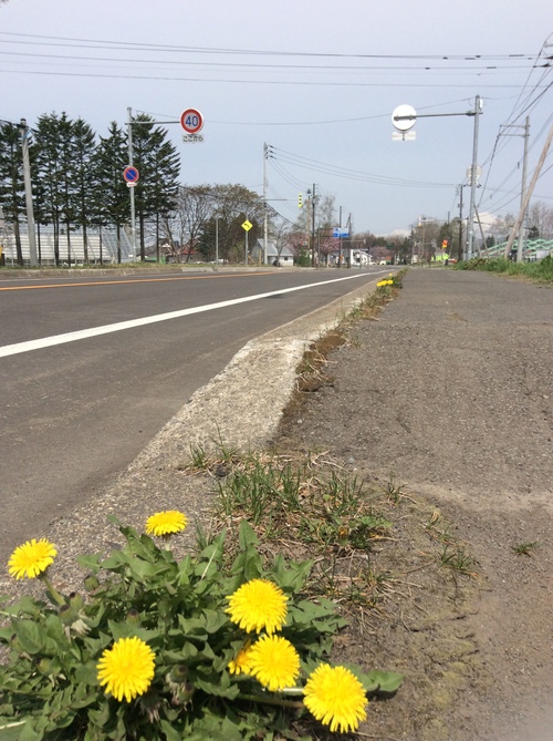 e0052716_9533559.jpg