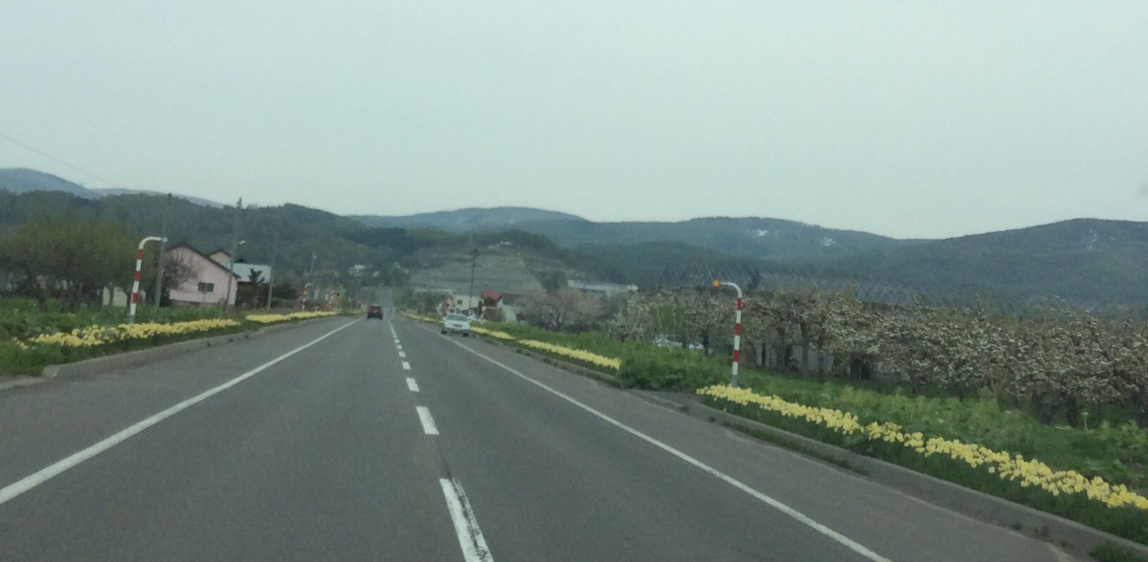 e0052716_9562546.jpg
