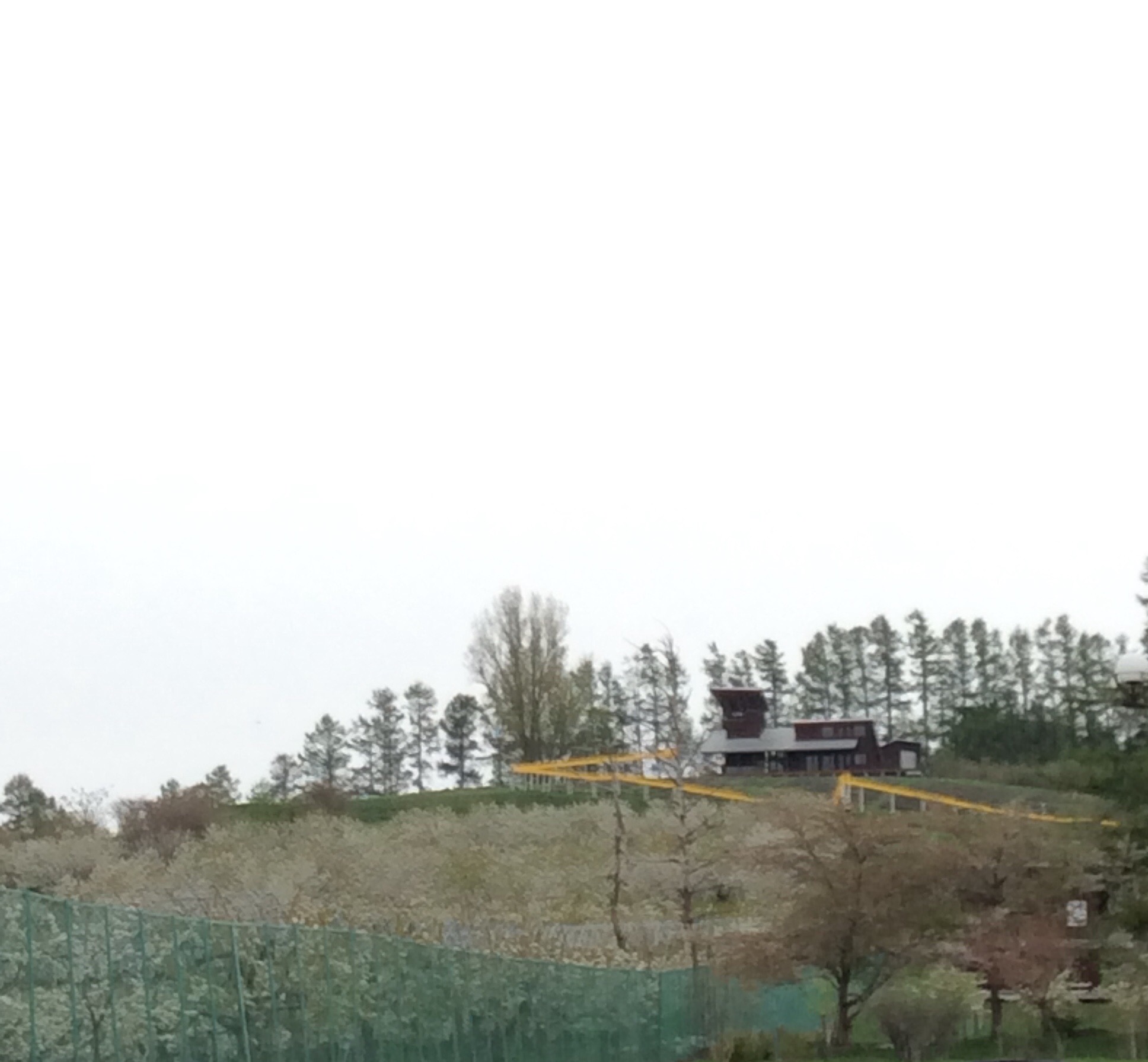 e0052716_9563514.jpg