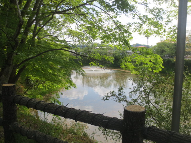 f0248616_22135031.jpg