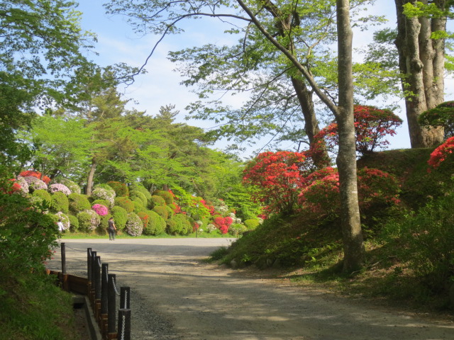 亀が城公園・・・棚倉町_f0248616_22181734.jpg