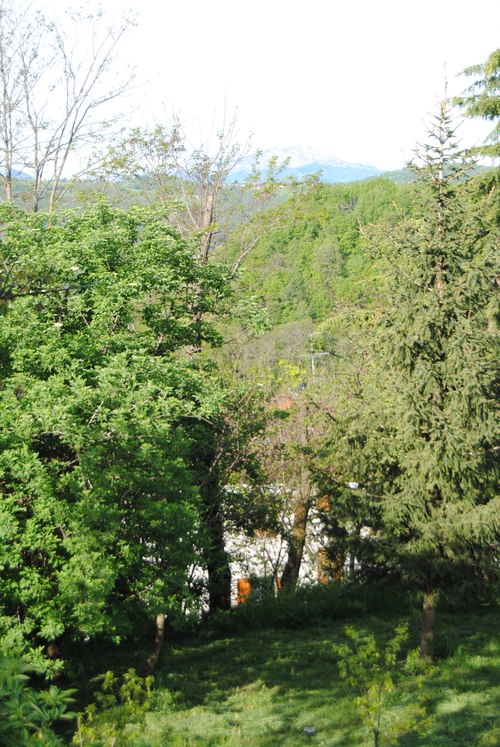 b0338818_041096.jpg