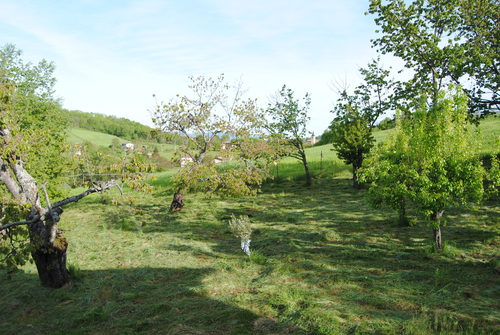 b0338818_0689.jpg