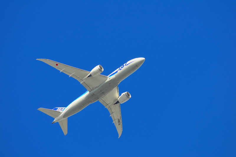 青空に飛行機は映えるよね！_c0158519_12204187.jpg