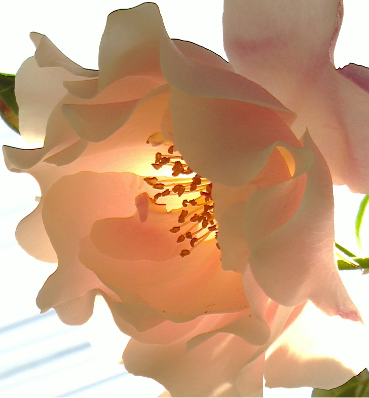 c0097620_2245114.jpg