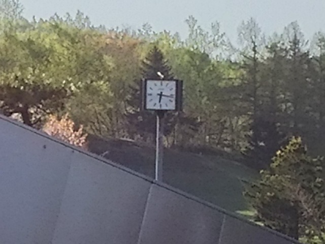 f0227321_1940111.jpg