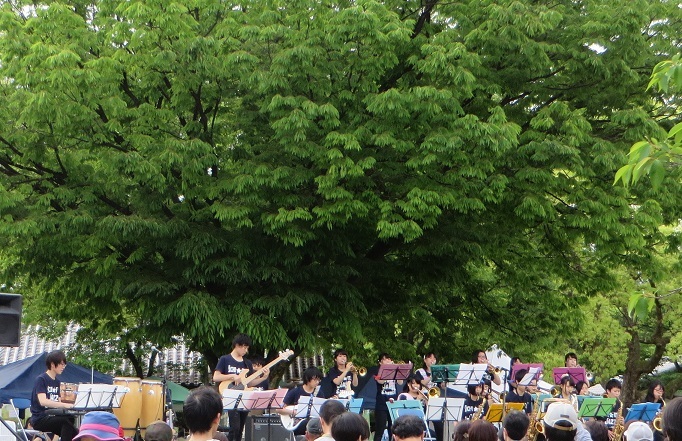 c0280322_17065267.jpg