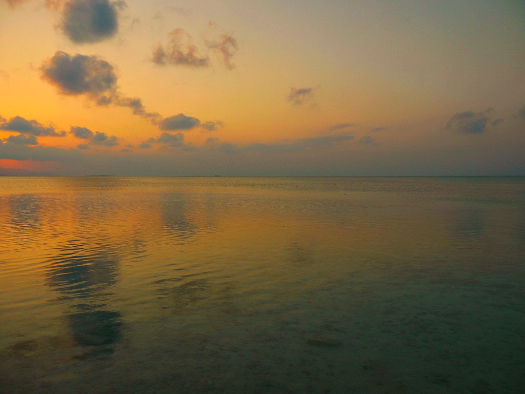 d0235123_13114272.jpg