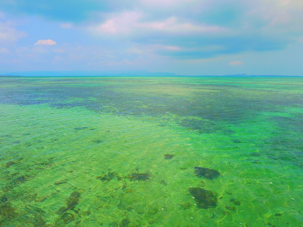 d0235123_1323665.jpg