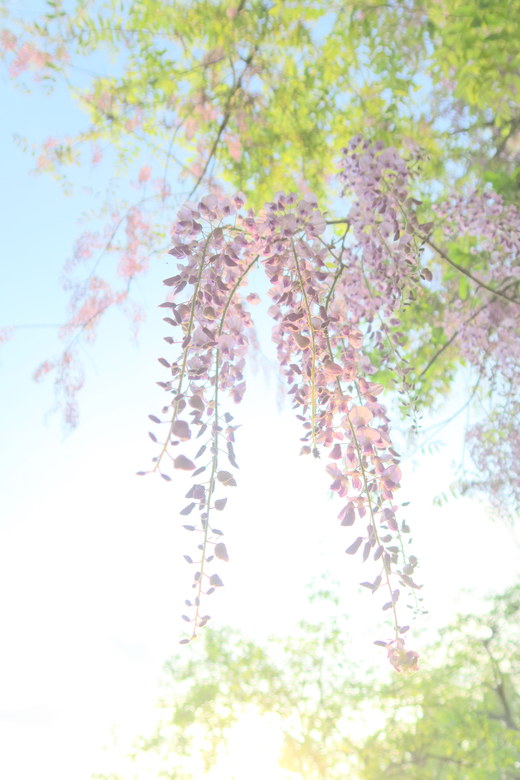 e0311229_034621.jpg