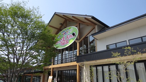e0202031_8441260.jpg