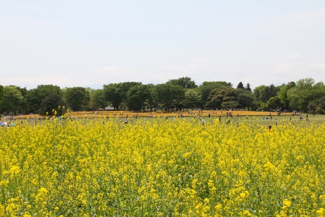 f0348831_07401773.jpg