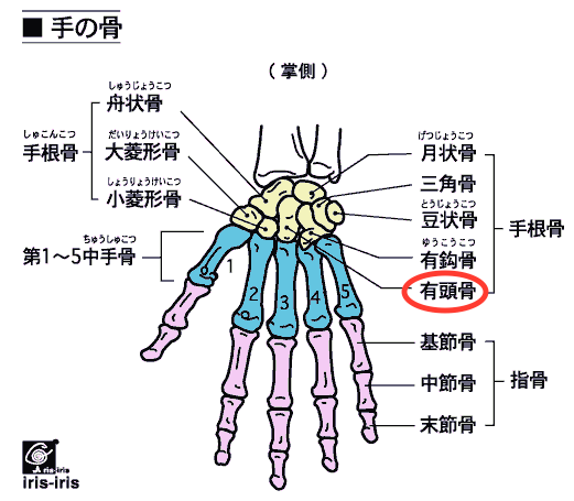e0073240_15541131.gif