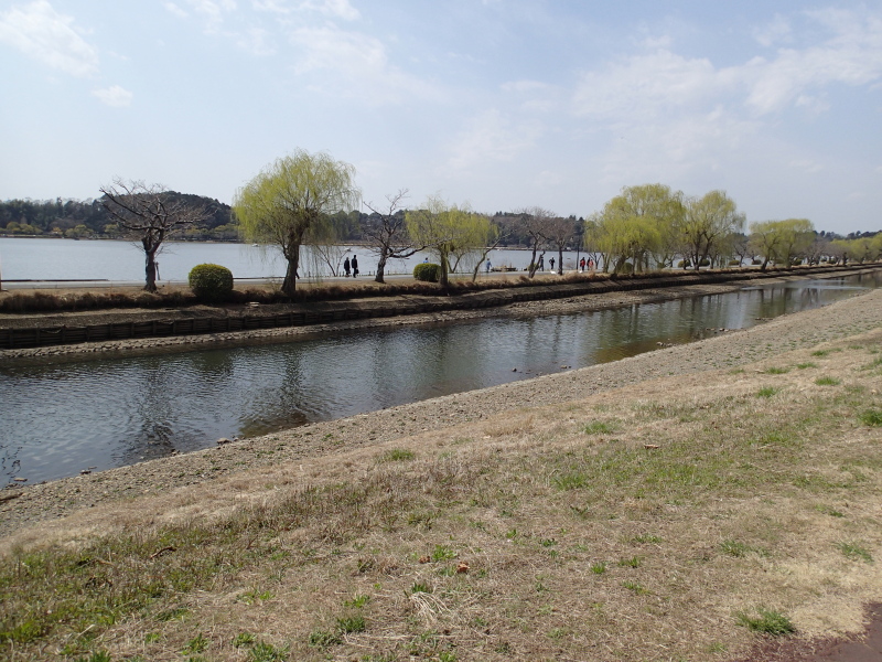 b0190242_85888.jpg