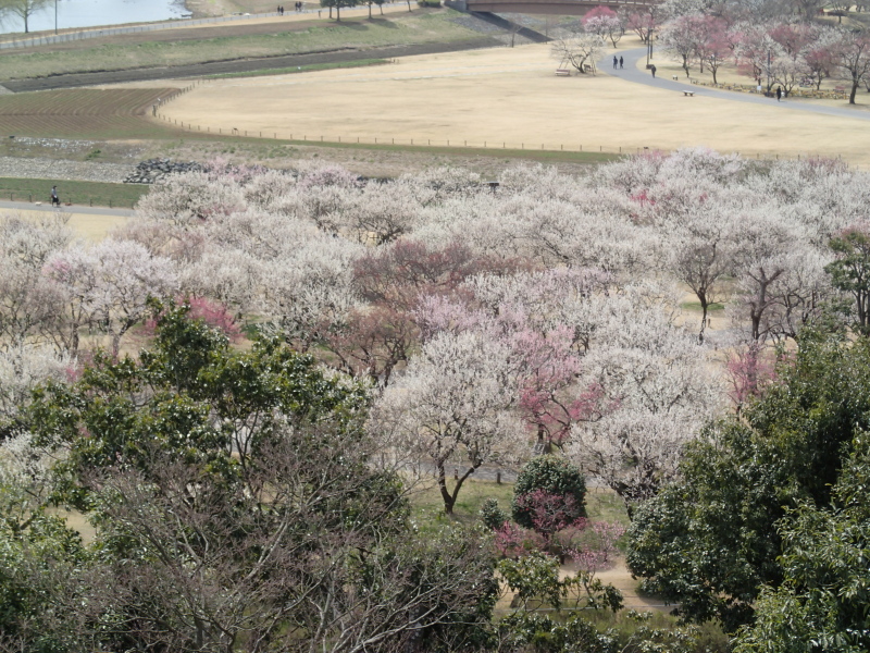 b0190242_90564.jpg