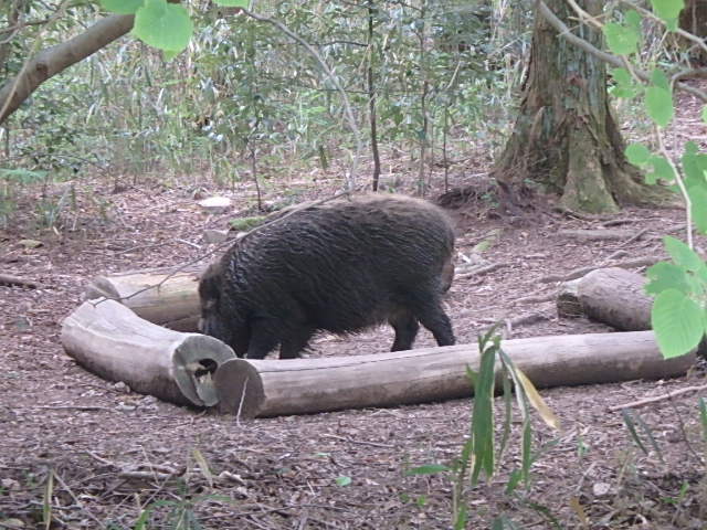 f0334143_23394477.jpg