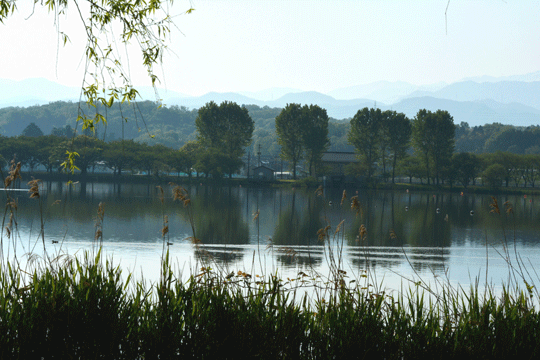 c0093046_841424.gif