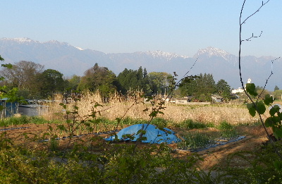 昼は自転車で_e0172950_923599.jpg