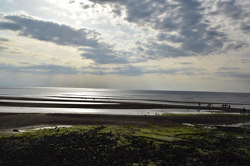 f0343750_6515272.jpg