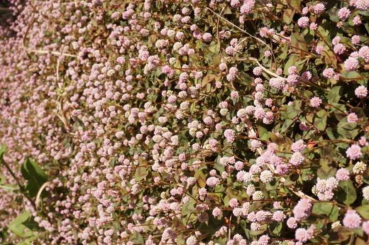 f0257756_20231161.jpg