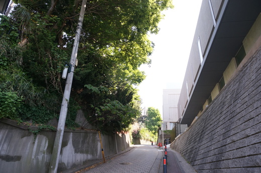 f0257756_20254524.jpg