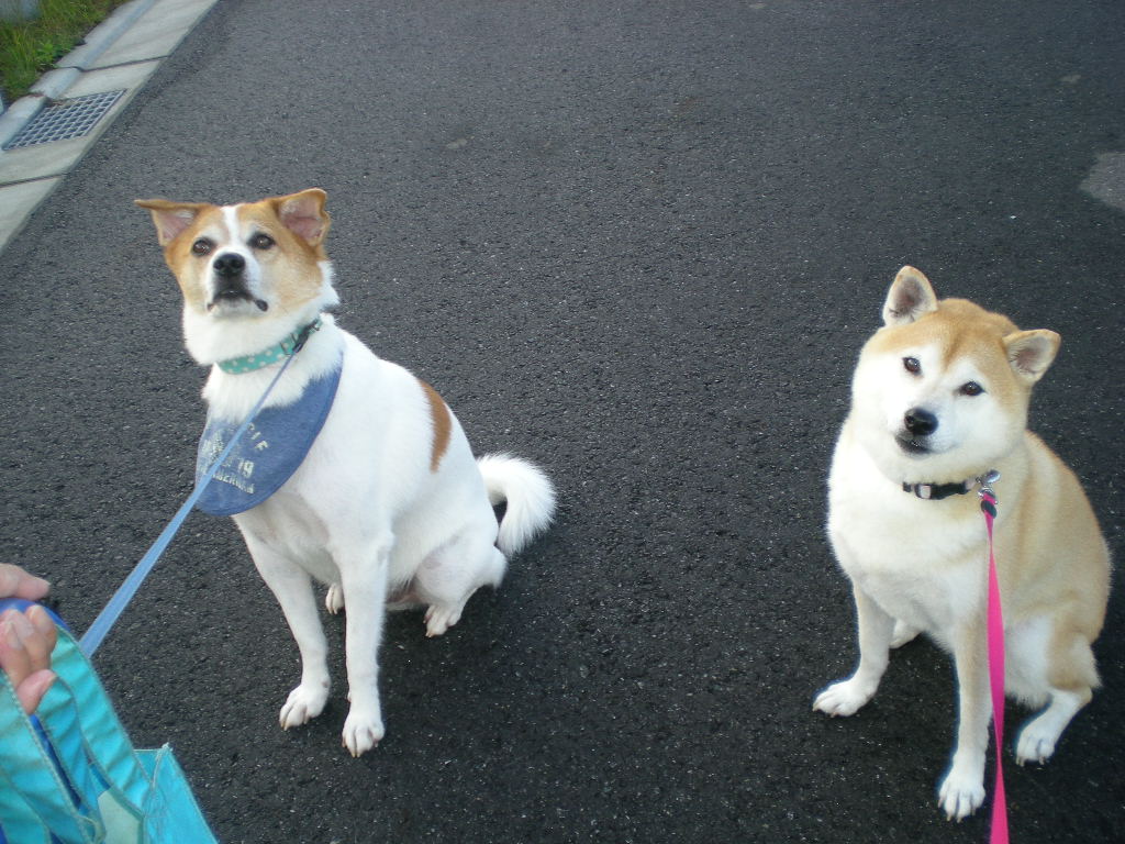 ’15,5,5(火)今日は子供の日ですよ~!_f0060461_9102157.jpg