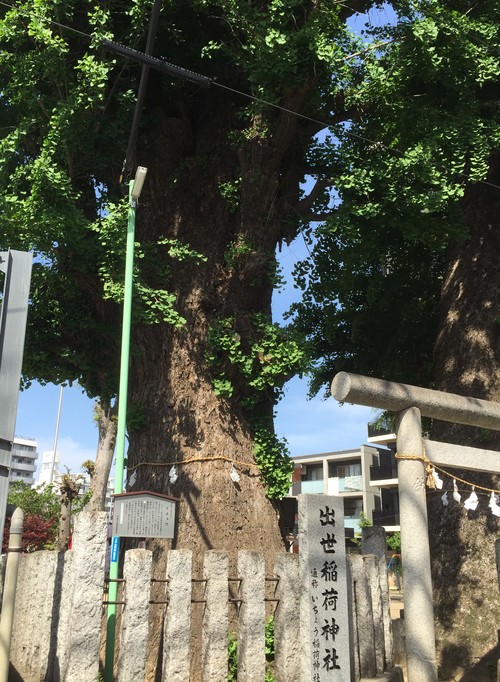 小江戸 川越(その3)_e0339064_1111364.jpg
