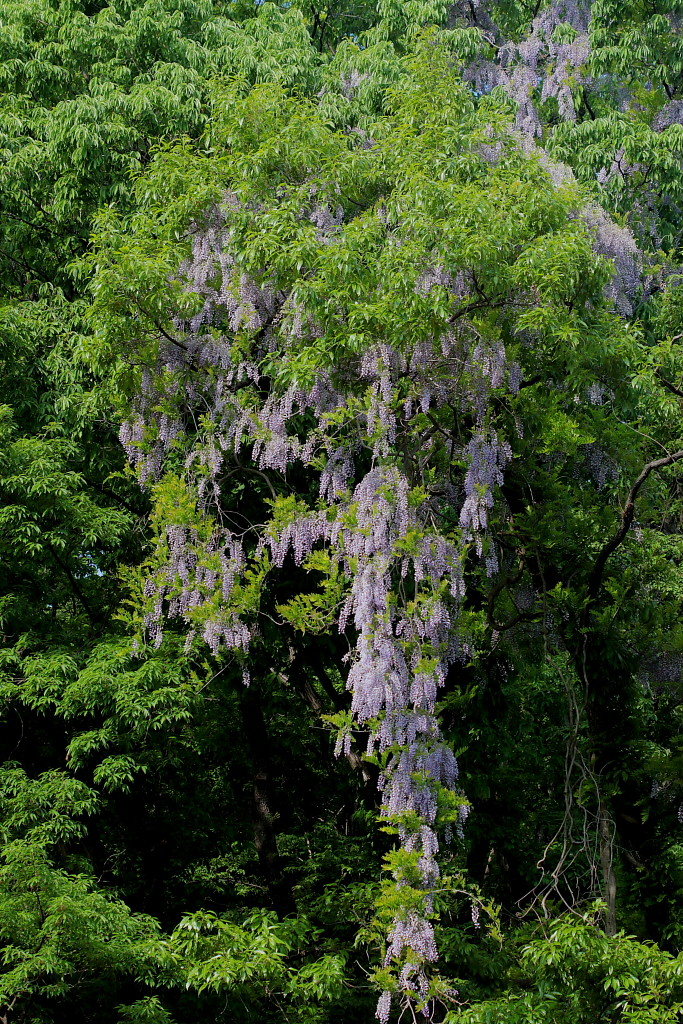 c0305565_18041683.jpg