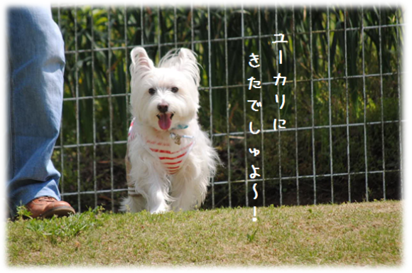 b0242873_09141541.png