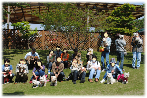 b0242873_09420295.png