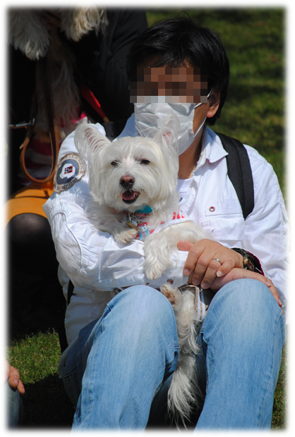 b0242873_09423037.png