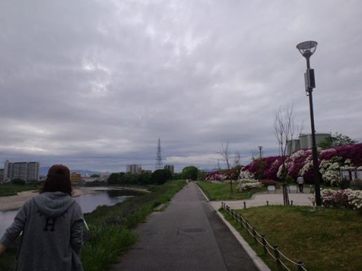 d0147774_227551.jpg