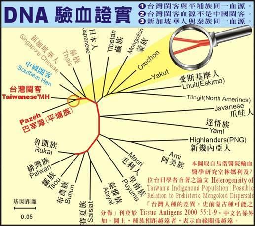 鄭成功滅族式暴行-平埔族大屠殺_e0040579_1214029.jpg