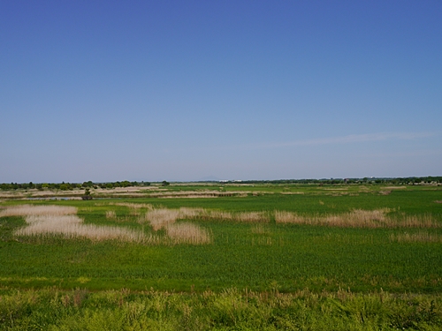 b0018682_23185912.jpg
