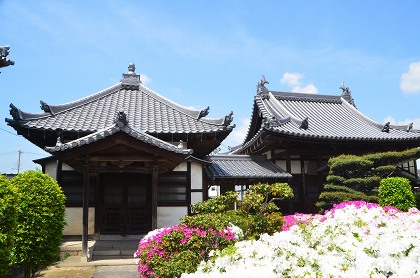 法雲寺　躑躅と七福神　②_c0229483_15594392.jpg