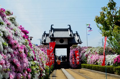 法雲寺　躑躅と七福神　②_c0229483_1602513.jpg