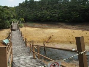 d0240983_74264.jpg