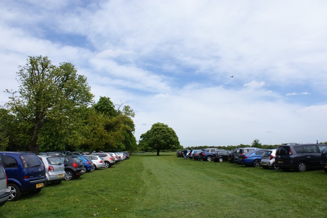 d0256883_35396.jpg
