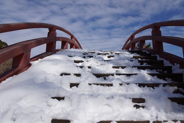 ☆青空の下、雪化粧に彩られた横浜／称名寺！_c0168984_20551047.jpg