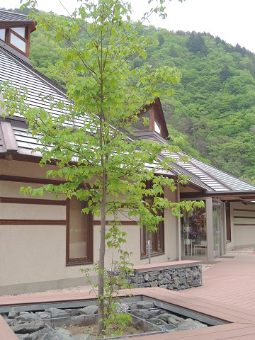 群馬県上野村へ^^_a0211886_0254164.jpg