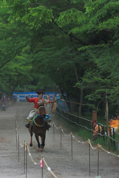 下鴨神社（流鏑馬神事）_e0051888_3532895.jpg