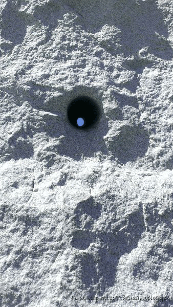 b0148991_721085.gif