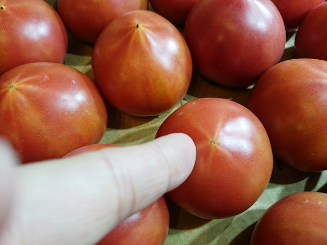美味しいフルーツトマトの選び方_e0167593_118911.jpg