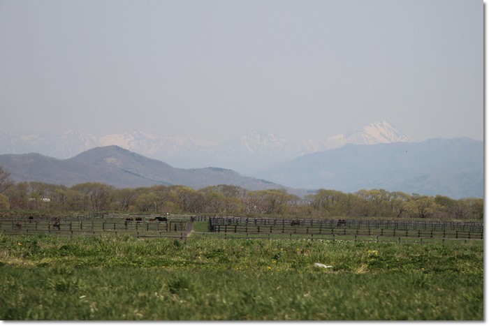 f0146493_23164057.jpg