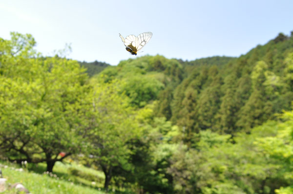 c0049095_7585153.jpg