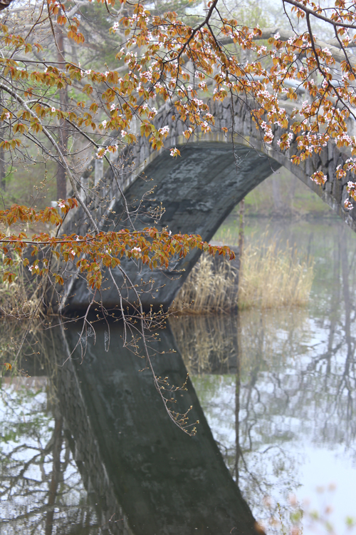 f0001895_1050177.jpg